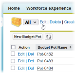 Screenshot showing Salesforce Classic list view with edit selected